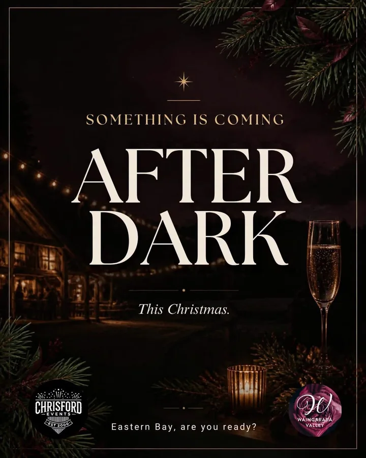 After Dark This Christmas promotional artwork